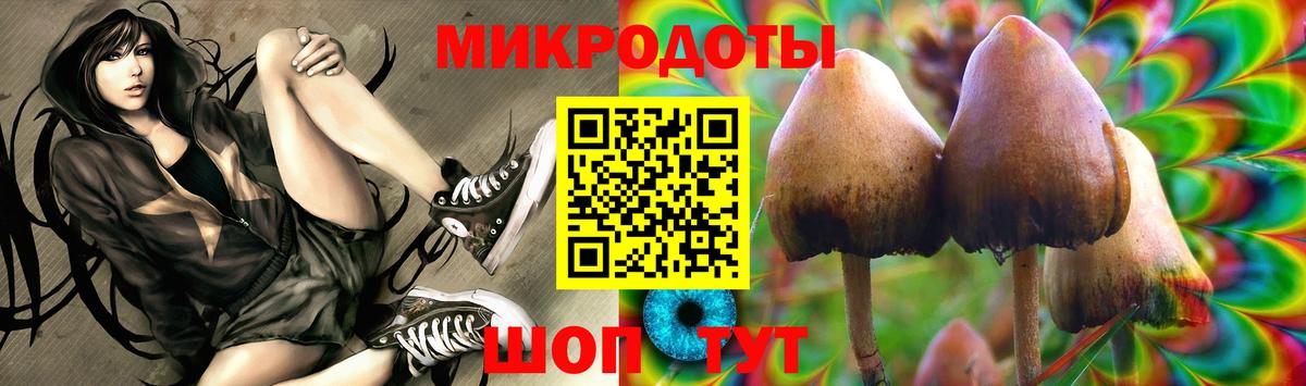 Галлюциногенные грибы Magic Shrooms  Вход с VPN  Тавда 